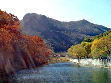 管家婆黑白马报图库，日本世霸工具